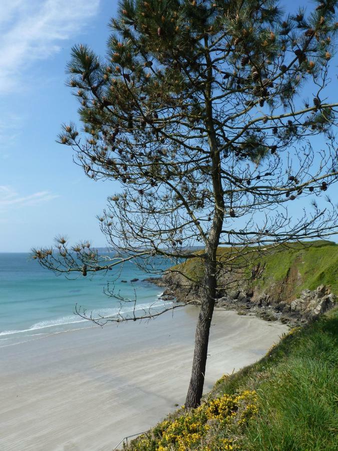 Ty Kozh De L'Aber Villa Crozon Dış mekan fotoğraf